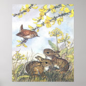 Molly Brett Art Wren en Rabbit Poster (Voorkant)