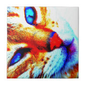 Molly cat tegeltje (Voorkant)