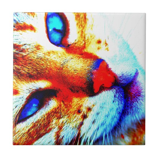 Molly cat tegeltje (Voorkant)