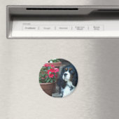 Molly de Cavalier Magnet (Insitu (Vaatwasser))