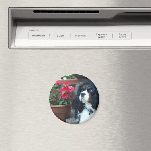 Molly de Cavalier Magnet (Insitu (Vaatwasser))