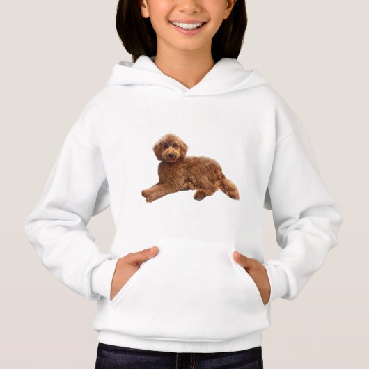Molly de Goldendoodle (Voorkant)