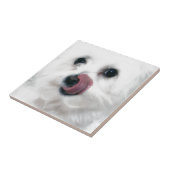 Molly de Maltese Tegeltje (Zijkant)