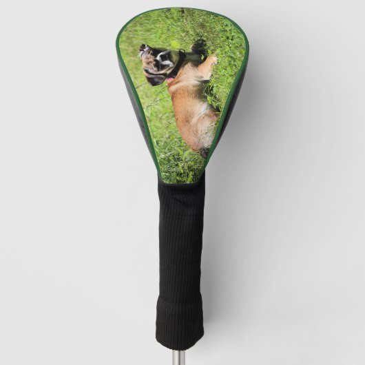 Molly Golfheadcover (Voorkant)