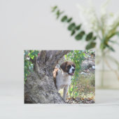 Molly " iemand zegt PLAYTIME " Briefkaart (Staand voorkant)