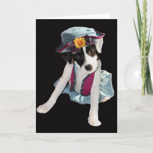 Molly Kaart (Voorkant)