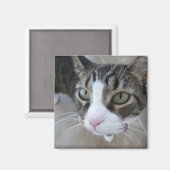 Molly kijkt naar je Kat Square Magnet (Voorkant / Achterkant)