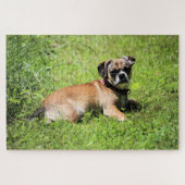 Molly Legpuzzel (Horizontaal)