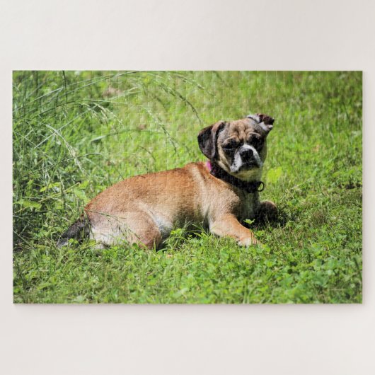 Molly Legpuzzel (Horizontaal)