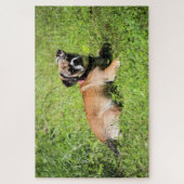 Molly Legpuzzel (Verticaal)