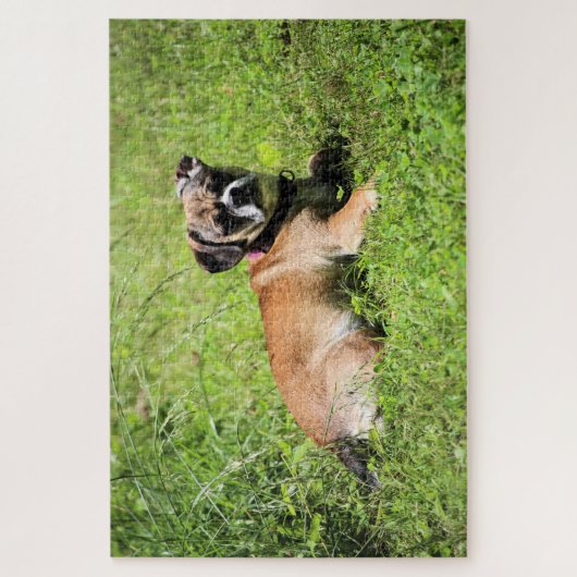 Molly Legpuzzel (Verticaal)