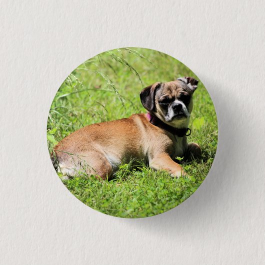 Molly Ronde Button 3,2 Cm (Voorkant)