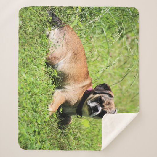 Molly Sherpa Deken (Voorkant)