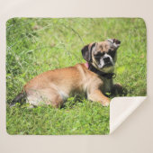 Molly Sherpa Deken (Voorkant (horizontaal))