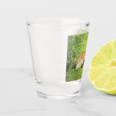 Molly Shot Glas (Links)
