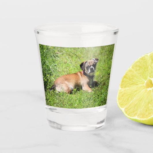 Molly Shot Glas (Voorkant)