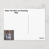 Molly Slacht. Briefkaart (Achterkant)