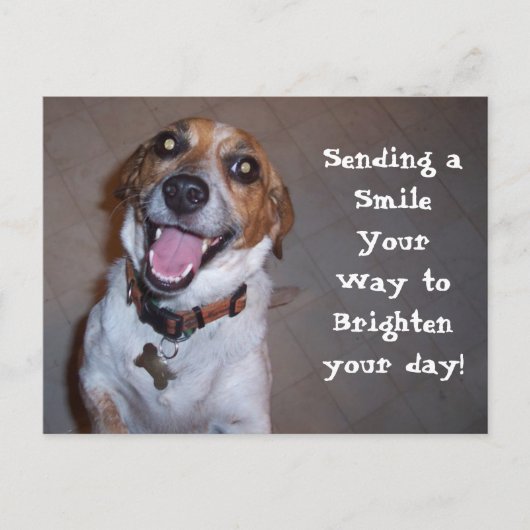 Molly Slacht. Briefkaart (Voorkant)