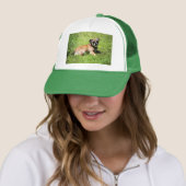 Molly Trucker Pet (In situ)