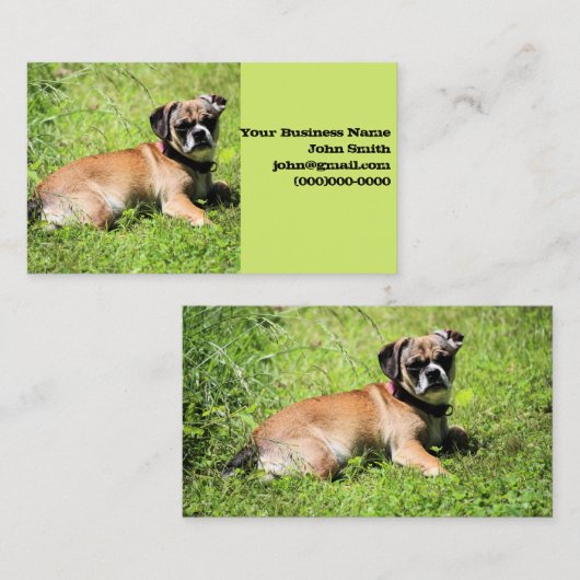 Molly Visitekaartje (Voorkant / Achterkant)