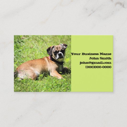 Molly Visitekaartje (Voorkant)