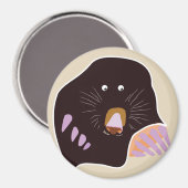 molmagneet magneet (Voorkant / Achterkant)