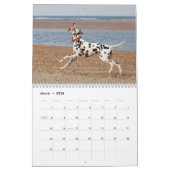 molo 2010 kalender (Mar 2026)