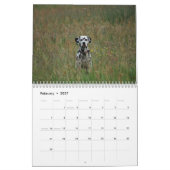 molo 2010 kalender (Feb 2027)