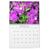 Molokai Reflections Kalender (Feb 2026)