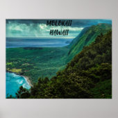 MOLOKAII HAWAII POSTER (Voorkant)
