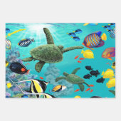 Molokini Cove Hawaiian Tropical Fish Turtle Trio Inpakpapier Vel (Voorkant 2)