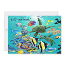 Molokini Cove Hawaiian Tropical Fish Zee Turtle