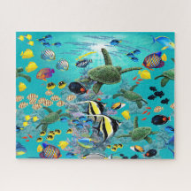 Molokini Cove Hawaiian Zee Turtle Tropical Fish