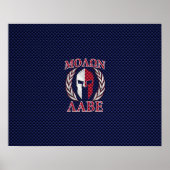 Molon Labe Spartan Warrior Carbon Style Poster (Voorkant)