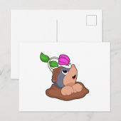 Molsla Briefkaart (Voorkant / Achterkant)