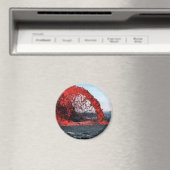 Molten Lava Magneet (Insitu (Vaatwasser))