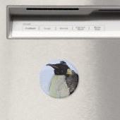 Molting Emperor Penguin Magneet (Insitu (Vaatwasser))