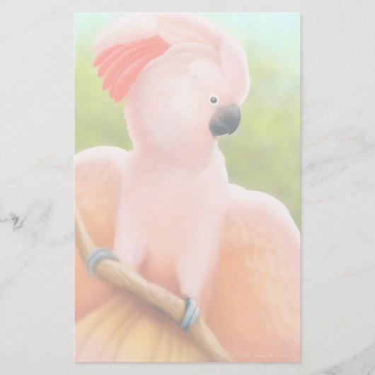 Moluccaanse katoenfabriek briefpapier (Voorkant)