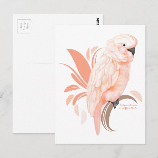 Moluccan Cockatau Briefkaart (Voorkant / Achterkant)