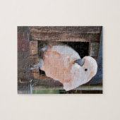 Moluccan Cockatau Legpuzzel (Horizontaal)