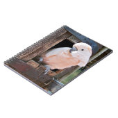 Moluccan Cockatau Notitieboek (Linkerzijde)