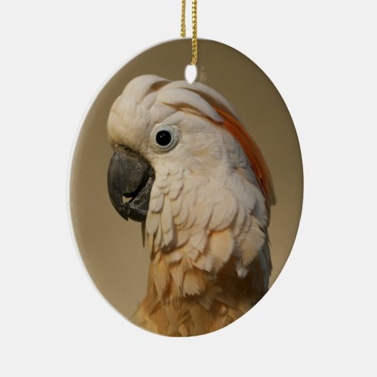 Moluccan Cockatau Ornament (Rechts)