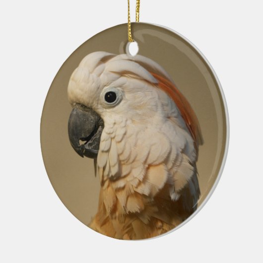 Moluccan Cockatau Ornament (Links)