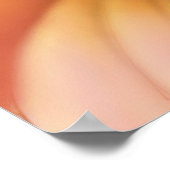 Moluccan Cockatau Poster (Hoek)