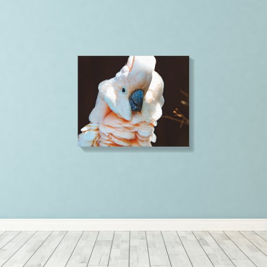 Molukse Kaketoe Canvas Afdruk (Insitu (Houten vloer))