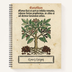 Molukse Kruidnagel Middeleeuwse Botanische Receptu Notitieboek