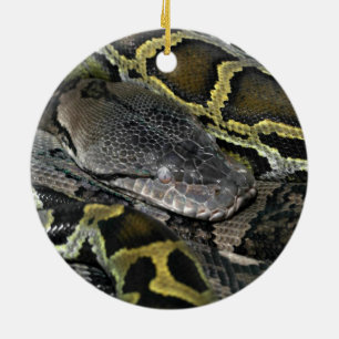 Molurusbivittatus van de python keramisch ornament