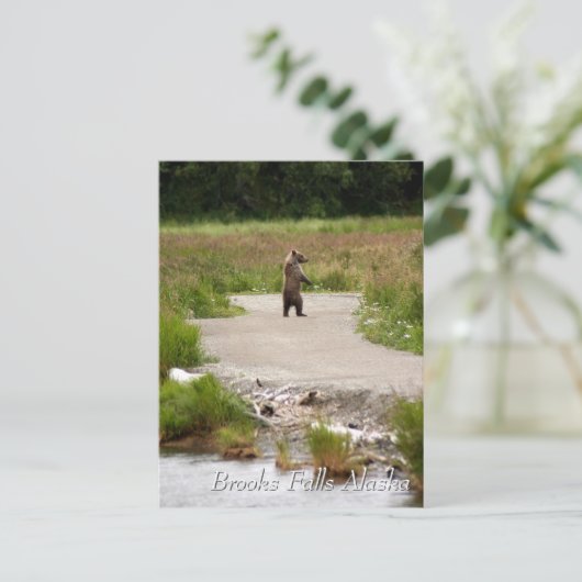 Mom!!  Brooks Falls Alaska  Briefkaart (Staand voorkant)