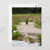Mom!!  Brooks Falls Alaska  Briefkaart (Voorkant / Achterkant)