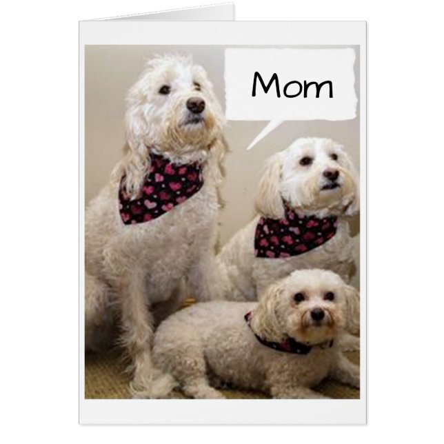 MOM IS GEWISSELD A **HAPPY BIRTHDAY** MET 3 POPS (Voorkant)